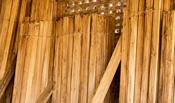 Timber Wood